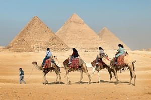 top rated accommodations for visitors