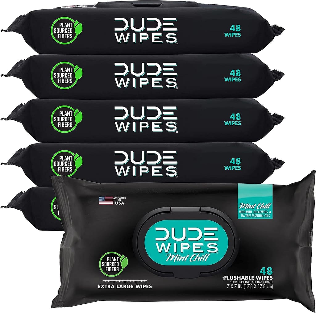 DUDE Wipes - Flushable Wipes - 6 Pack, 288 Wipes - Mint Chill Extra-Large Adult Wet Wipes - Eucalyptus  Tea Tree Oil - Septic and Sewer Safe